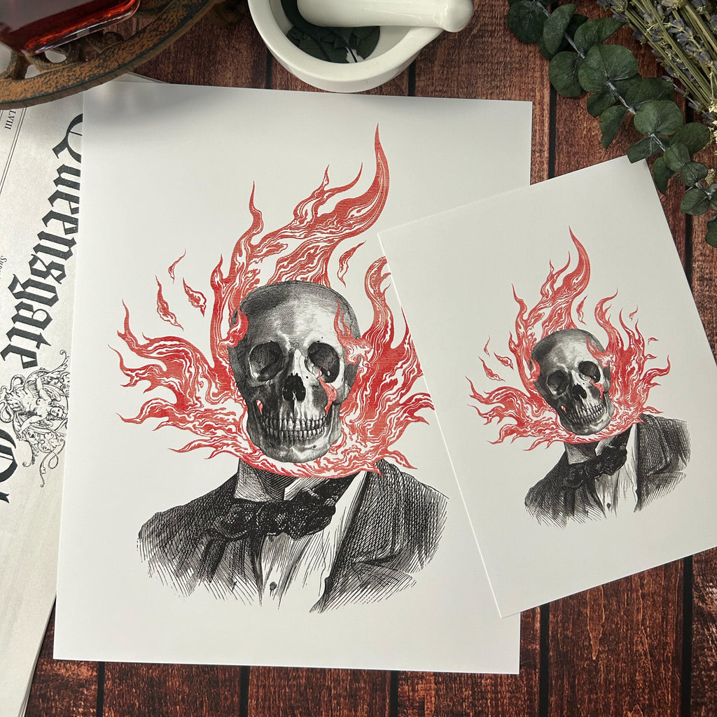 Plate No. 7 – The Arcanarium II